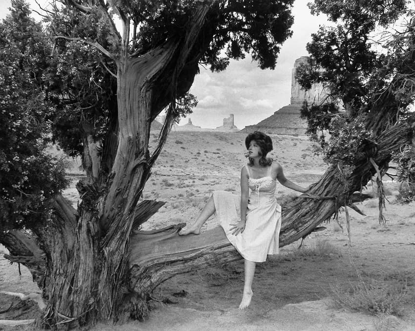 سیندی شرمن - زنی که آنجا نبود